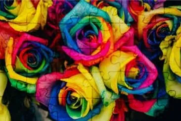 Colored flowers jigsaw puzzle