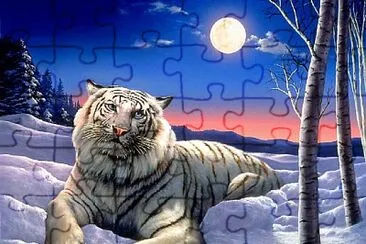 fantasy jigsaw puzzle