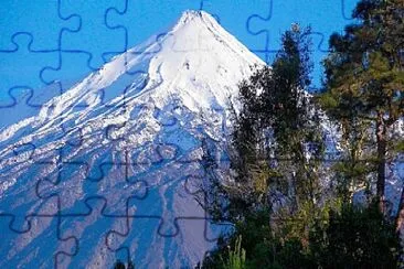 Varie jigsaw puzzle