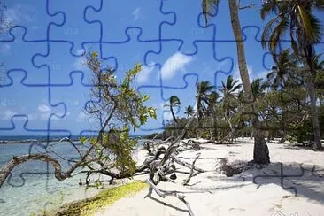 vzla jigsaw puzzle