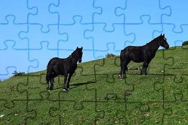 Caballos pastando jigsaw puzzle