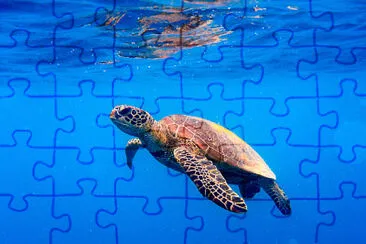 2Â° ano jigsaw puzzle