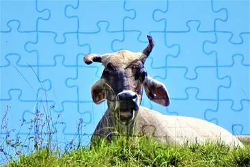 Vaca jigsaw puzzle