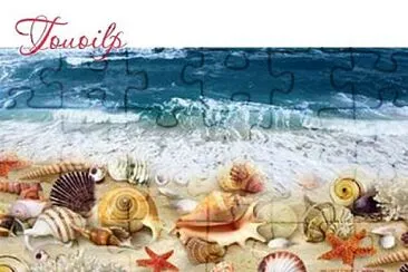 Seashells jigsaw puzzle