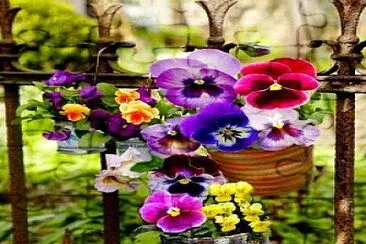 flores jigsaw puzzle