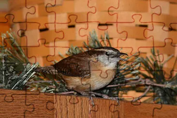 Bird in House jigsaw puzzle