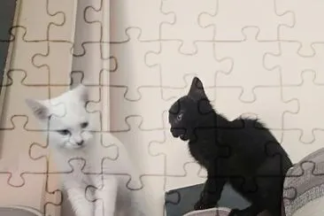 Luna y Choco jigsaw puzzle