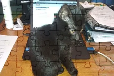 Choco Interrumpiendo el trabajo jigsaw puzzle