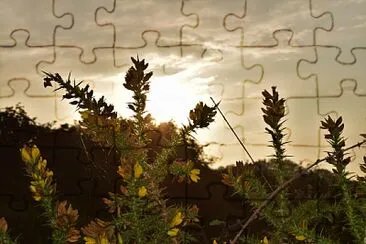 Atardecer jigsaw puzzle