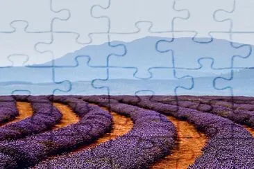 flores jigsaw puzzle