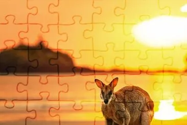 natural jigsaw puzzle