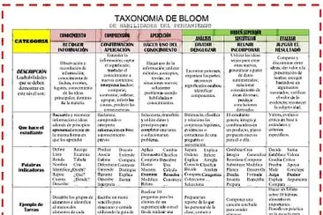 taxonomia