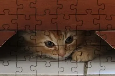 chat jigsaw puzzle