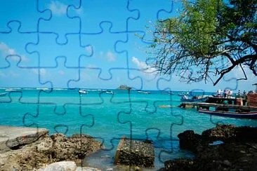 vzla jigsaw puzzle