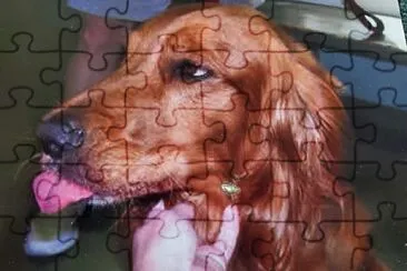 My Dog Rex jigsaw puzzle