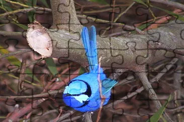 wren jigsaw puzzle