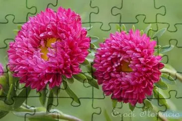 imagem jigsaw puzzle