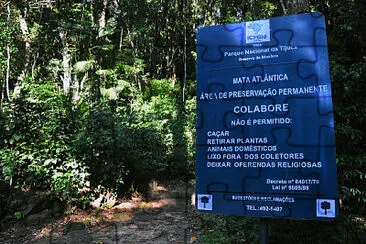 פאזל של Floresta da Tijuca - Rio de Janeiro