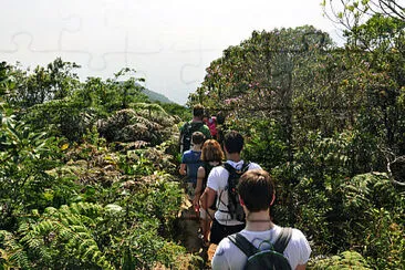 פאזל של Floresta da Tijuca - Rio de Janeiro