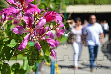 Centro do Rio de Janeiro - Brasil jigsaw puzzle