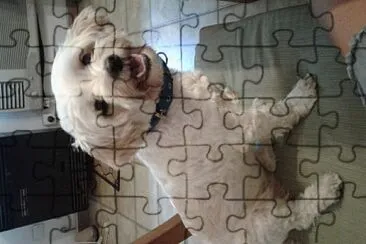  jigsaw puzzle