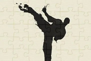 karate 1 jigsaw puzzle