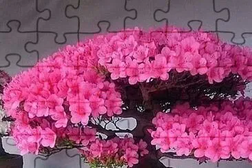 bonsai cerejeira jigsaw puzzle