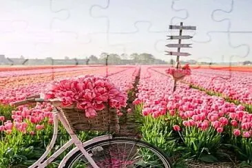 tulipas jigsaw puzzle