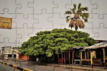 Guayacan de Chiquimula jigsaw puzzle