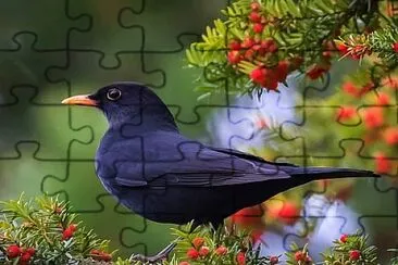 natural jigsaw puzzle