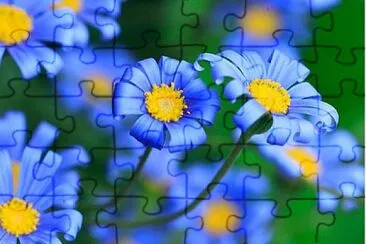 flower jigsaw puzzle