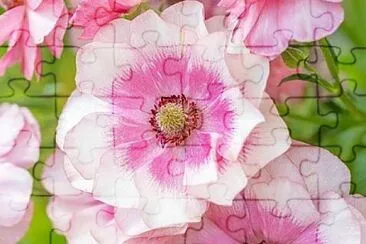 flower jigsaw puzzle