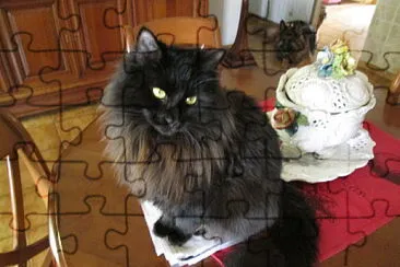 Mellie jigsaw puzzle