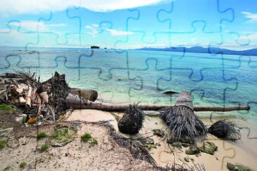 vzla jigsaw puzzle