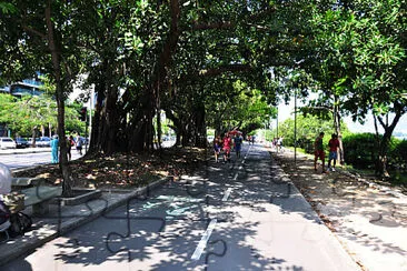 Lagoa - Rio de Janeiro - Brasil