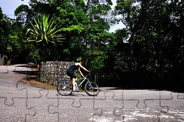 Vista Chinesa - Rio de Janeiro - Brasil jigsaw puzzle