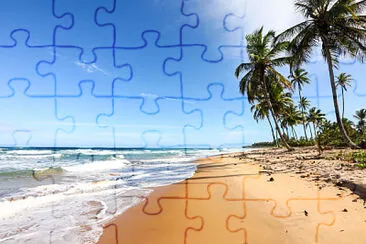  jigsaw puzzle