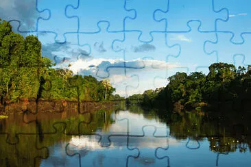 Amazonia jigsaw puzzle