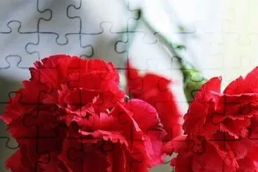 flores jigsaw puzzle