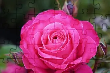 flores jigsaw puzzle