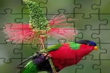 natural jigsaw puzzle