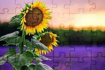 flores jigsaw puzzle