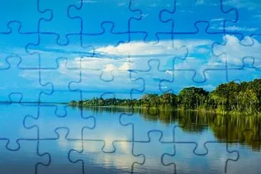 Amazonia jigsaw puzzle