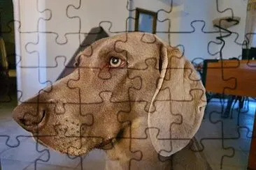 LITCHIE jigsaw puzzle