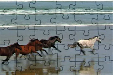 horses running along the beach jigsaw puzzle