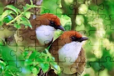 imagem jigsaw puzzle