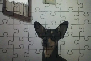  jigsaw puzzle