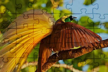 natural jigsaw puzzle