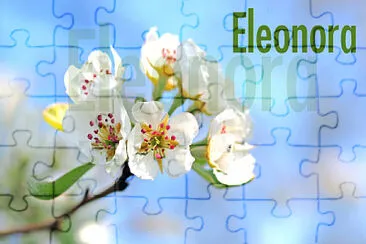 Fiori per Ele jigsaw puzzle