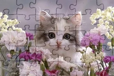 Voici un puzzle chat